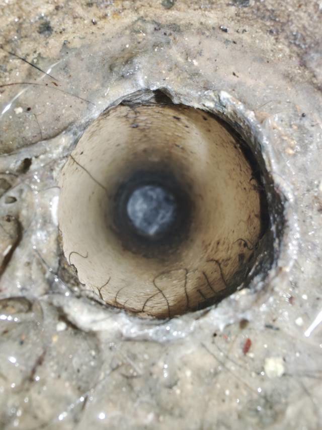金科一城：马桶排水口与旧密封位置