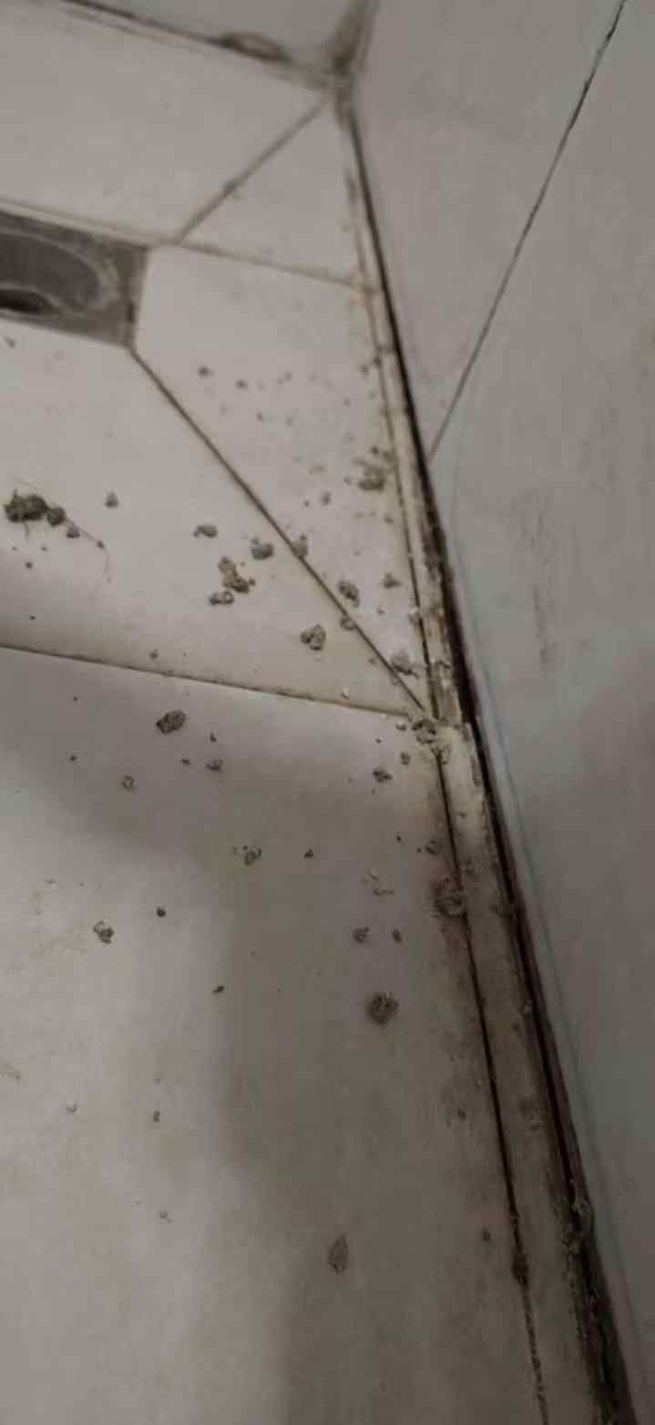 卫生间瓷砖缝隙开裂