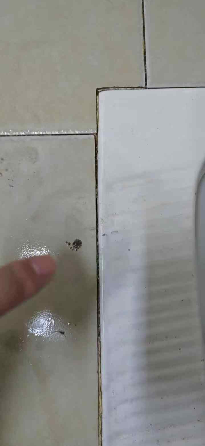 成都双流区西航港临江丽苑卫生间门口墙面木板空鼓