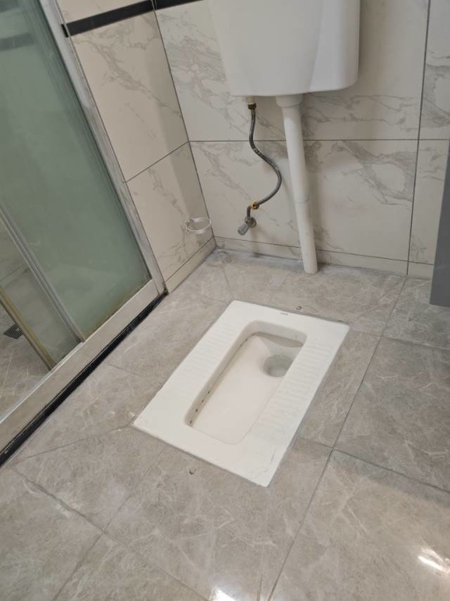 东骏湖景湾:卫生间完工情况